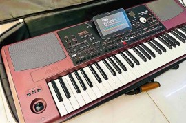 Korg Pa5X, Korg Pa4X, Korg Pa4X MG2 Edition, Korg Pa1000,Yamaha Genos2, Beograd