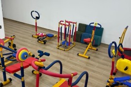 MINI STEPER - do 8 god. - DEČJE SPRAVE ZA VEŽBANJE, Trstenik