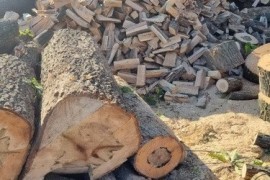 Cepana drva za ogrev i ljuspice za potpalu, Beograd