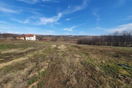 Topola, Gornja Šatornja, njiva 353ara