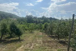 Plac 350 ari, preko puta vile Jugovo, Smederevo sa pogledom na Dunav, Smederevo