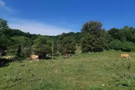 Prodajem kucu u selu Zivica-Lucani, Živica