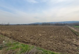 Parcela 1.8hektara (visokonaponska struja) ravna