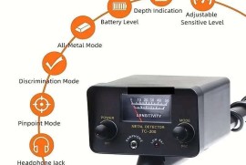 Metal detektor za zlato, Beograd