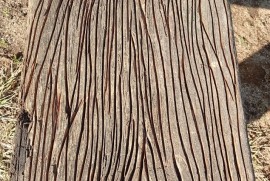 Silikonski kalupi za štampani beton i uređenje dvorišta, Beograd