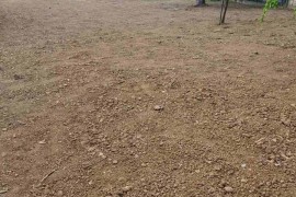 Uslužno freziranje i uredjenje dvorišta, Barajevo