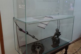 Kompletan akvarijum - terarijum za vodene kornjace