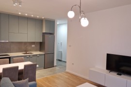 Izdajem stan u Pancevu, 37 m², Pančevo