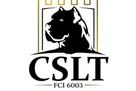 Cane Corso štenci , Vršac