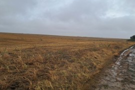 Prodaja zemlje Irig-Neradin, Neradin