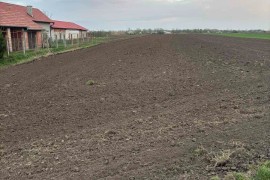 Prodajem gradjevinsko zemljiste-Vrbas, Vrbas