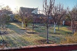 Prodajam kuću, Kikinda