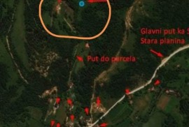 Gradjevinsko zemljiste u selu Crni Vrh na Babinom Zubu, Crni Vrh