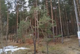 Plac na prodaju Zlatibor-Vodice, Zlatibor