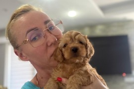 Goldendoodle prelepi štenci, Savino Selo