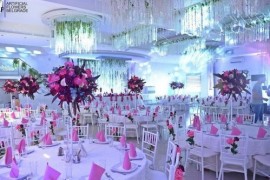 Tiffany stolice, Bačka Palanka