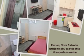 Zemun, Nova Galenika, izdajem sobu za zaposlenu osobu.