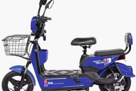 Prodajem prelepi električni skuter za odrasle