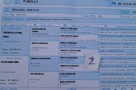 Epanjel Breton štenad, Požarevac