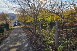 GROCKA – Građevinsko zemljište 70 ari – plac u Grockoj 