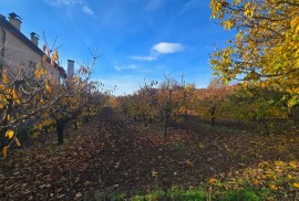 GROCKA – Građevinsko zemljište 70 ari – plac u Grockoj 